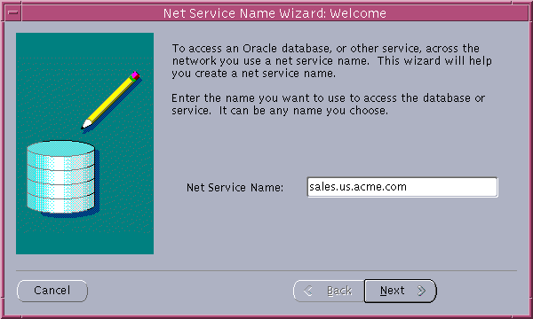 Text description of netwiz1.gif follows.